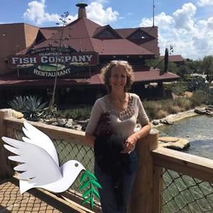 Meet your Posher, Dolly